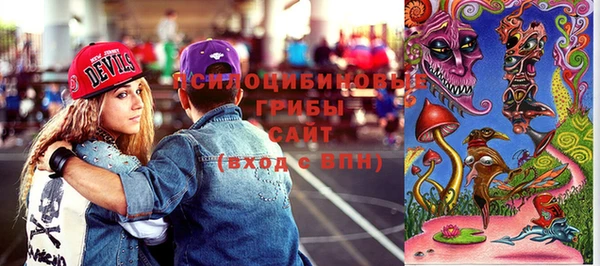 сатива Вяземский
