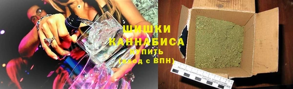 сатива Вяземский