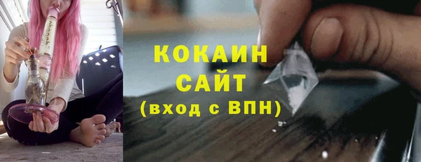 сатива Вяземский