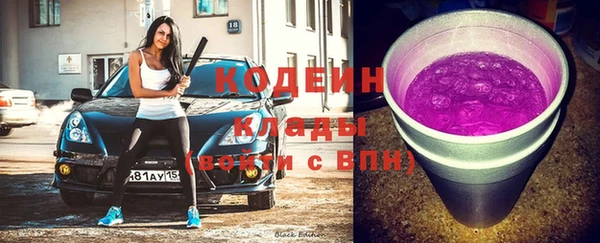 сатива Вяземский