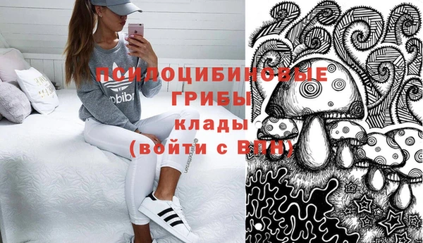 дмт Вязьма