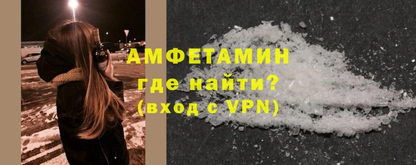 сатива Вяземский