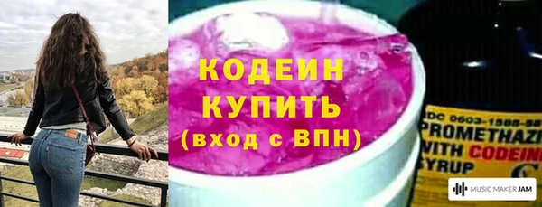 сатива Вяземский